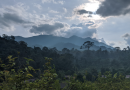 Jejak Sejarah di Bukit Soeharto!