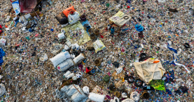 ilustrasi sampah
