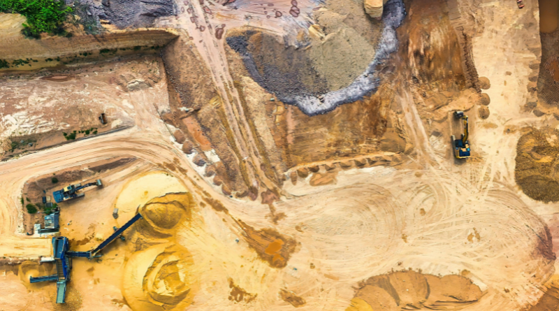 ilustrasi hutan tropis