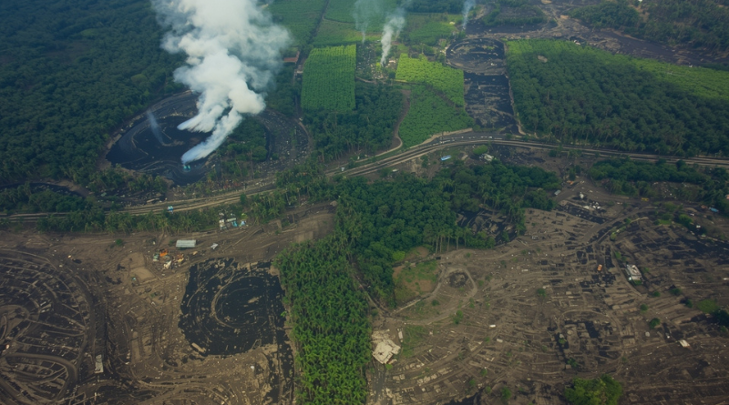 ilustrasi tutupan hutan